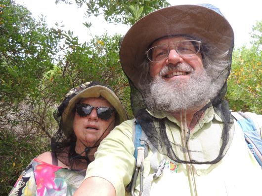 Netz wegen den Muecken